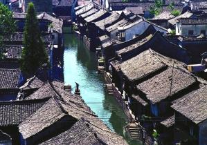 松针油是什么？游戏画面